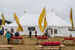 2014 Mendocino Music Festival