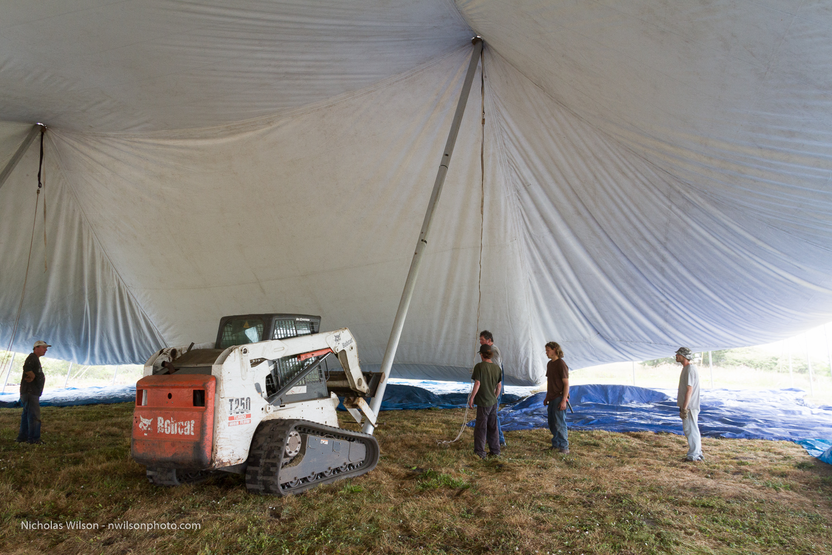 David Lindstrom's agile Bobcat dozer lifts a pole and hundreds of pounds of canvas into place.