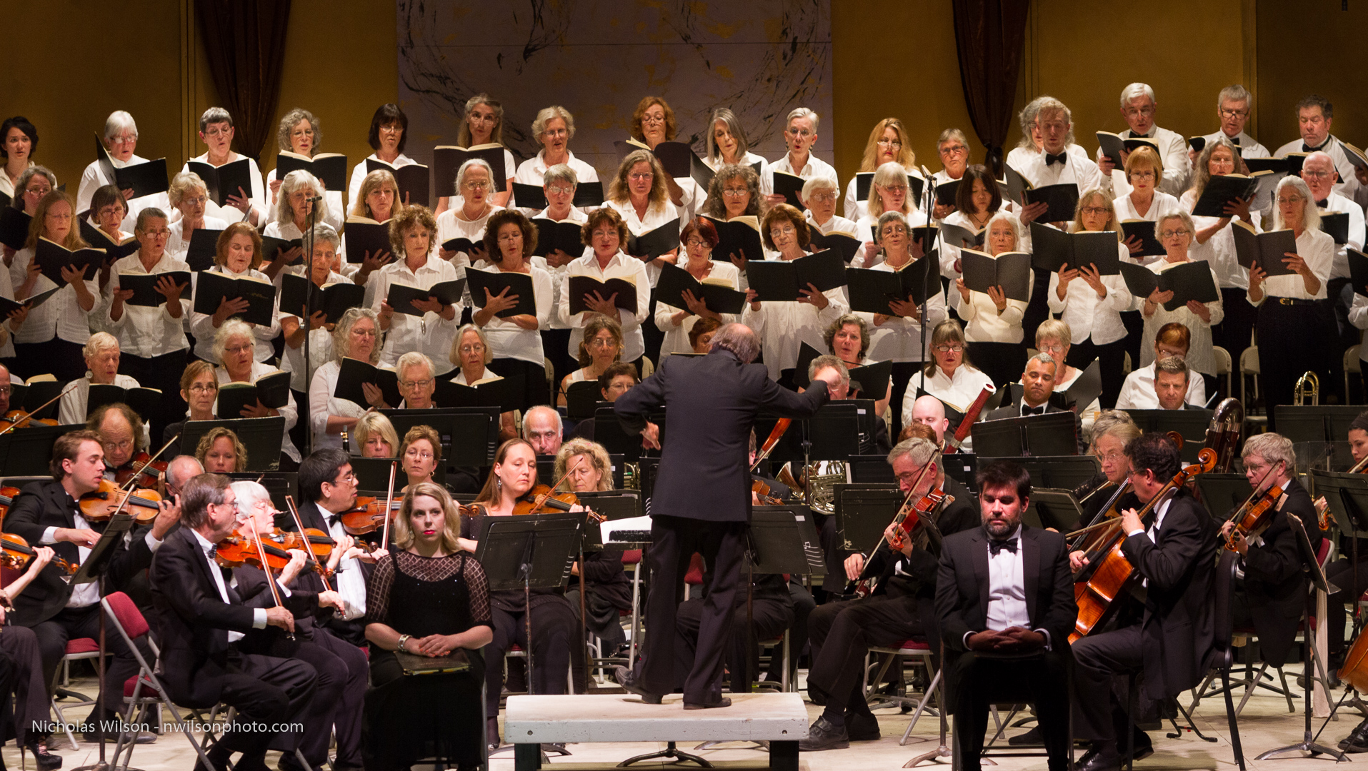 The central core of the MMF Orchestra and Chorus