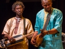 Ngoni (traditional lute) players with Bassekou Kouyate.