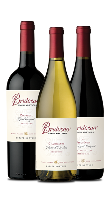 Brutocao Cellars Mendocino 2007ワイン松谷化学工業 - 酒