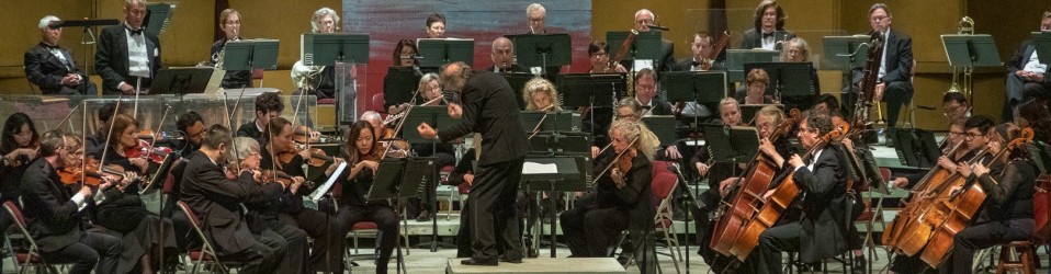 Festival Orchestra 2